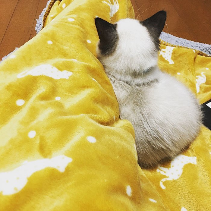 占い師マーリンのお気に入り写真2